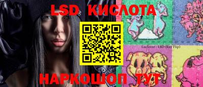 mdpv Заводоуковск