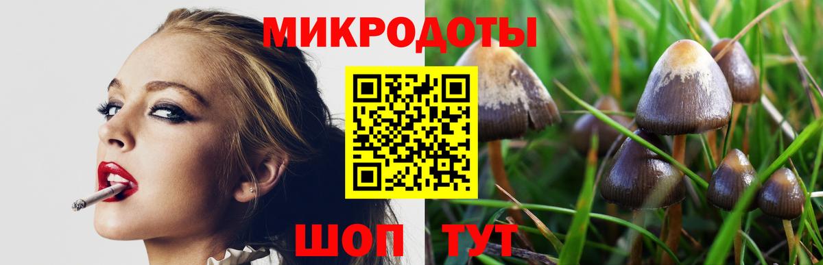 Галлюциногенные грибы MAGIC MUSHROOMS Бугуруслан
